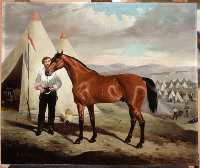 Sir Briggs, Pferd von Lord Tredegar (1831-1913) der 17. Lancers, im Lager auf der Krim 1854, 1856 von Alfred de Prades